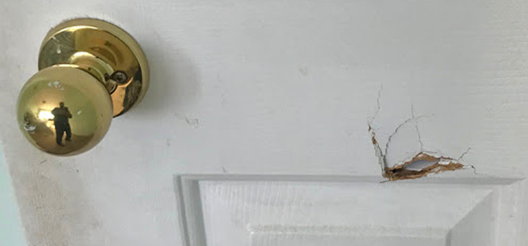 interior door hole repair El Sobrante